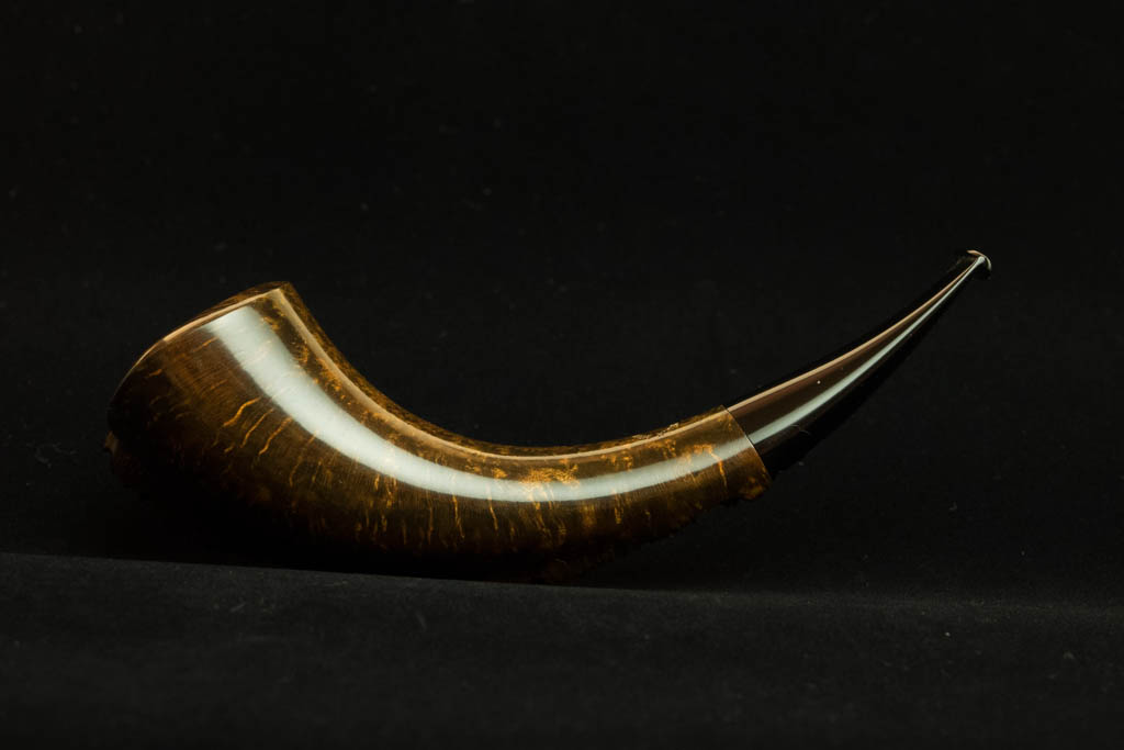 Wojtek Pastuch Horn -Picture 1